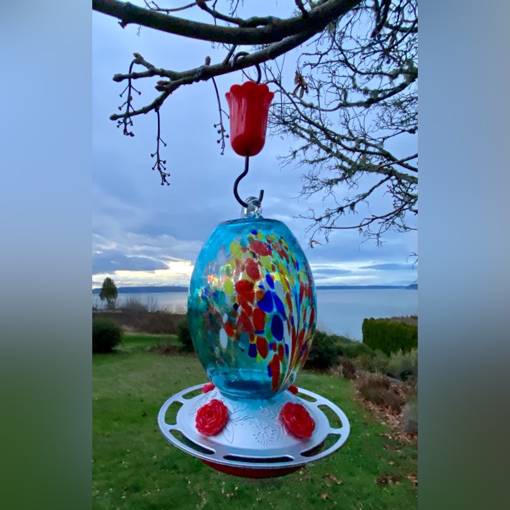 Glass Hummingbird Feeder 27oz Blown Glass Humming Bird - Roses & Ant Moat - Picture 4 of 13